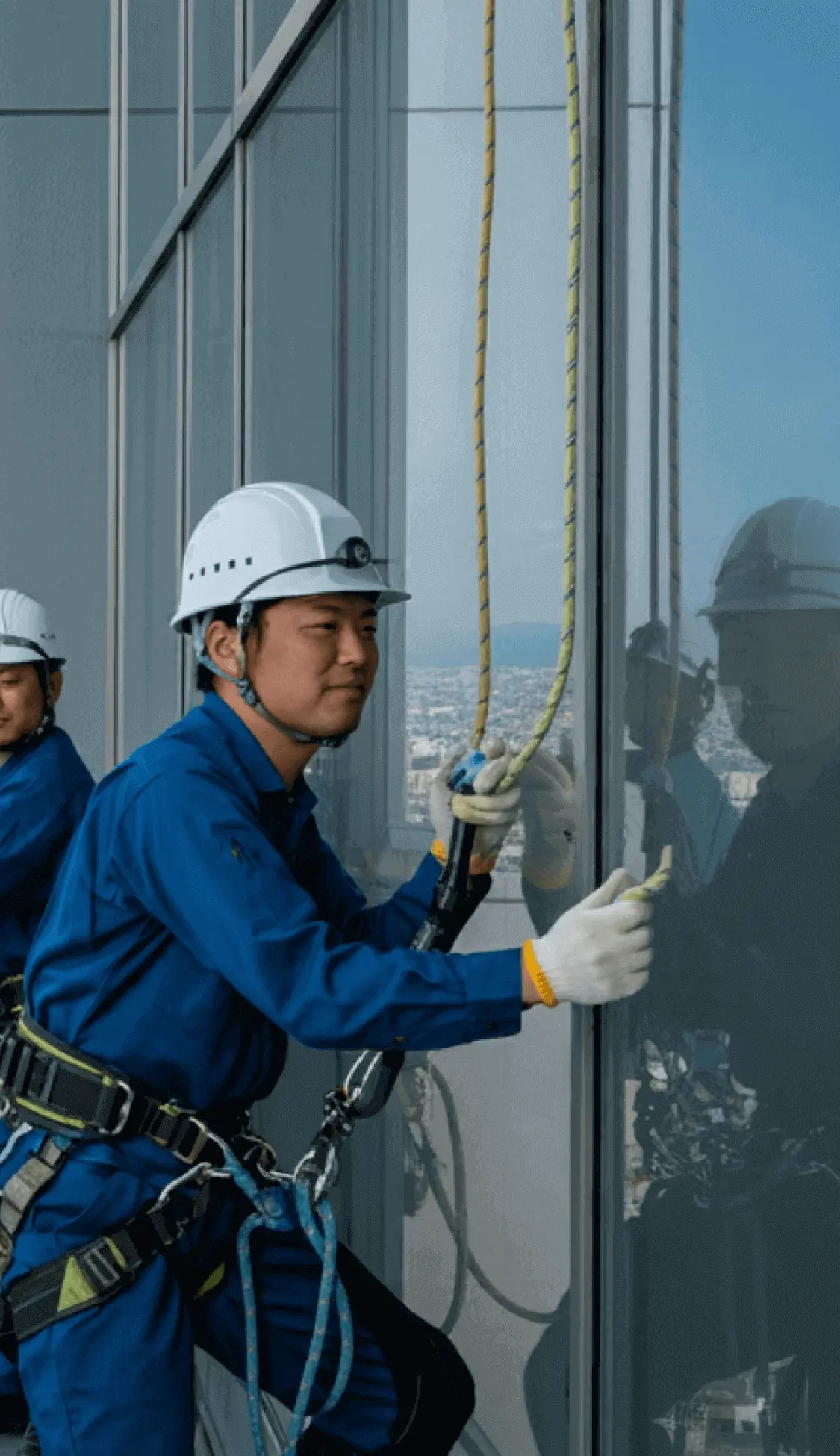 高層ビルの窓清掃作業の様子。安全装備を装着した2名の作業員が、都市の景観を背景に窓拭きを行っている。